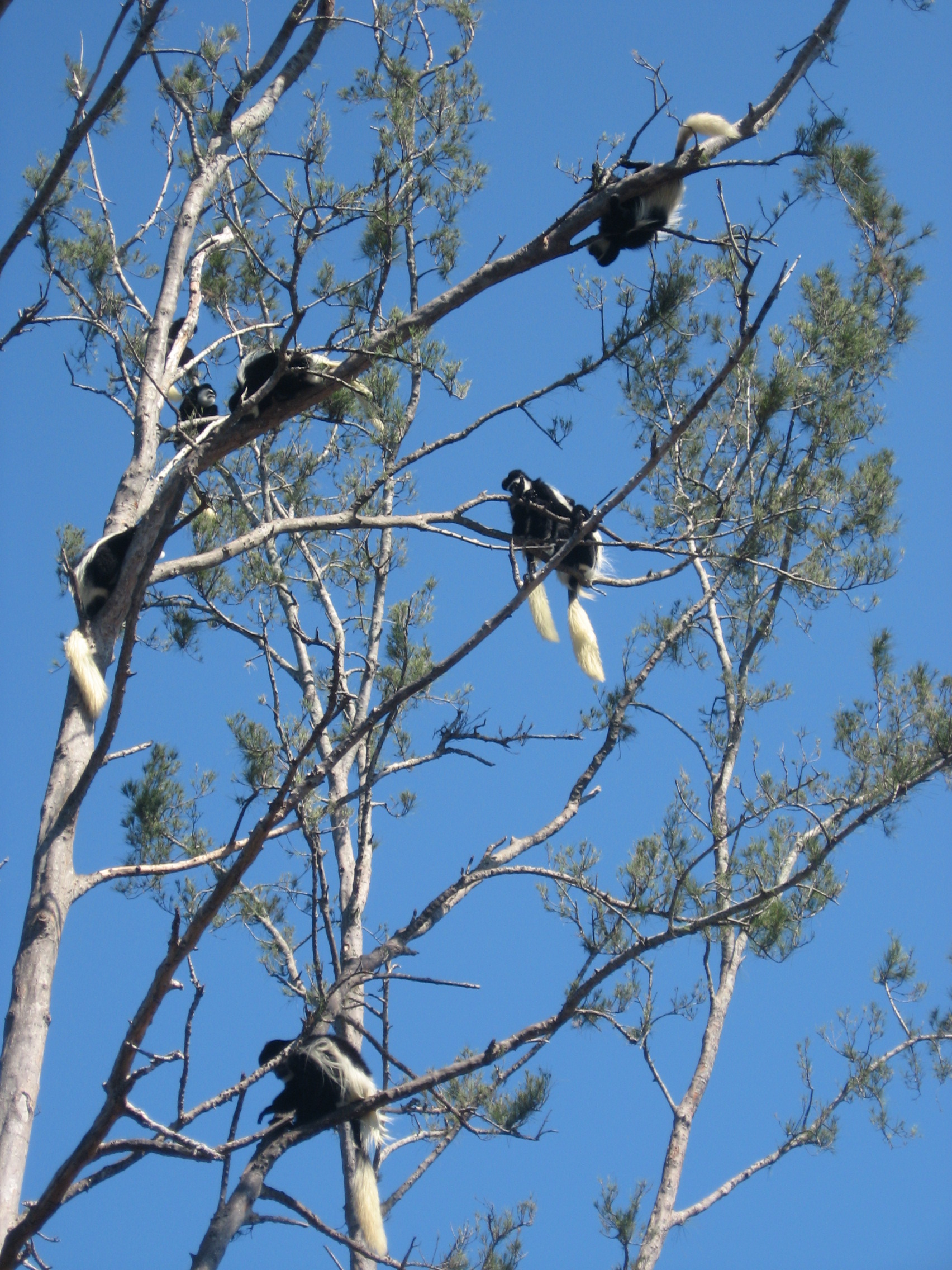 Florida April 2009 021 copy